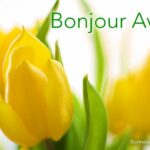 Des tulipes jaunes et la phrase Bonjour Avril